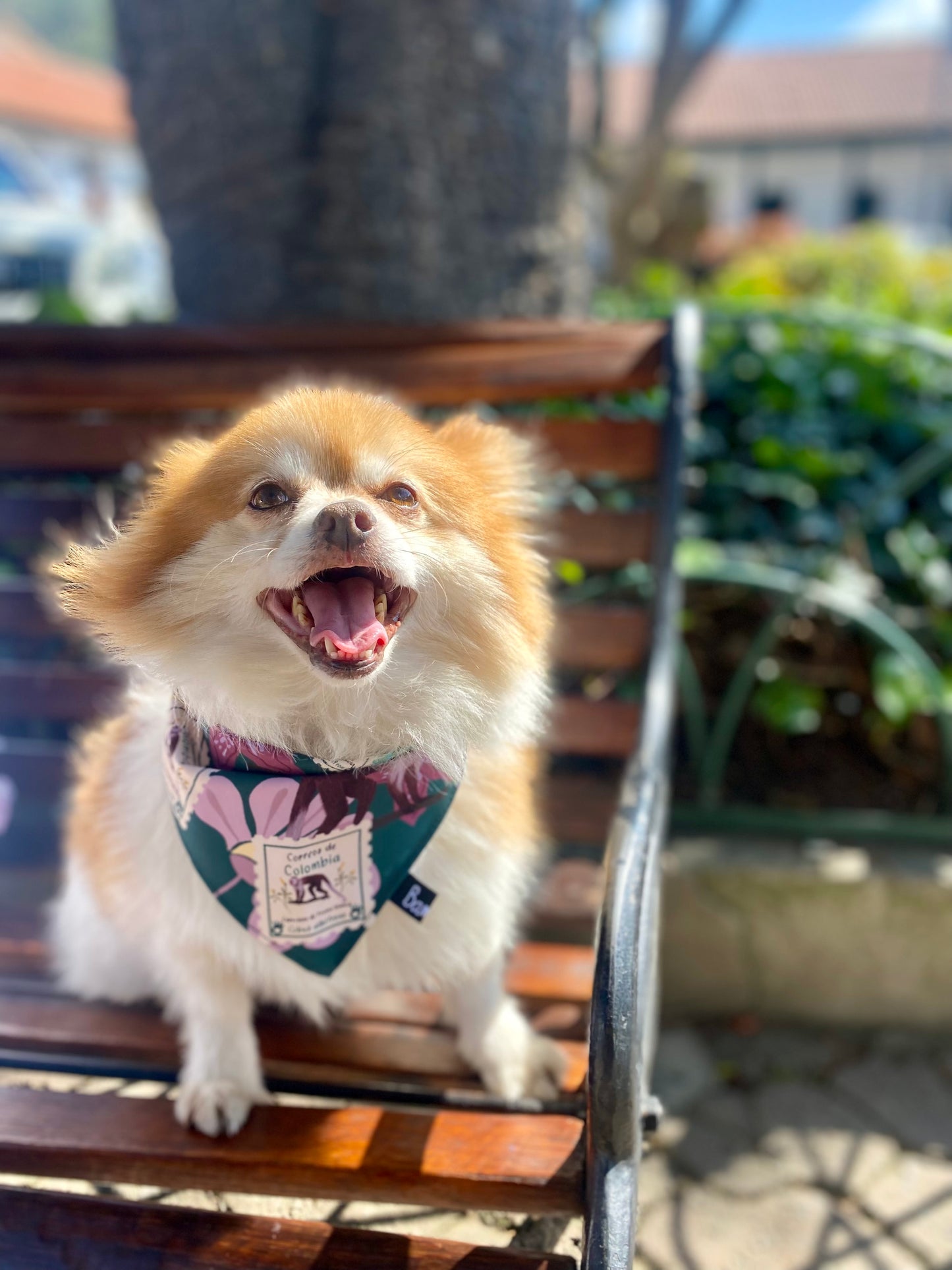 Pañoleta para Mascotas